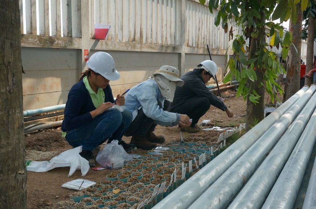 4.นักธรณีวิทยาเก็บตัวอย่างชั้นดิน